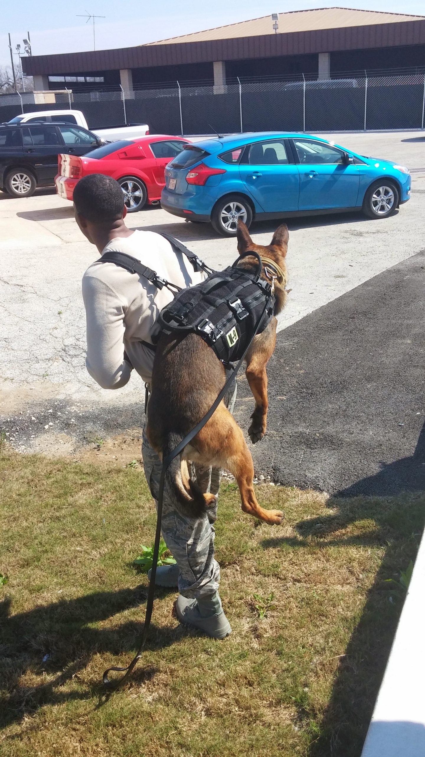 Tactical K-9 Systems (Vest) TK9S - Image 2