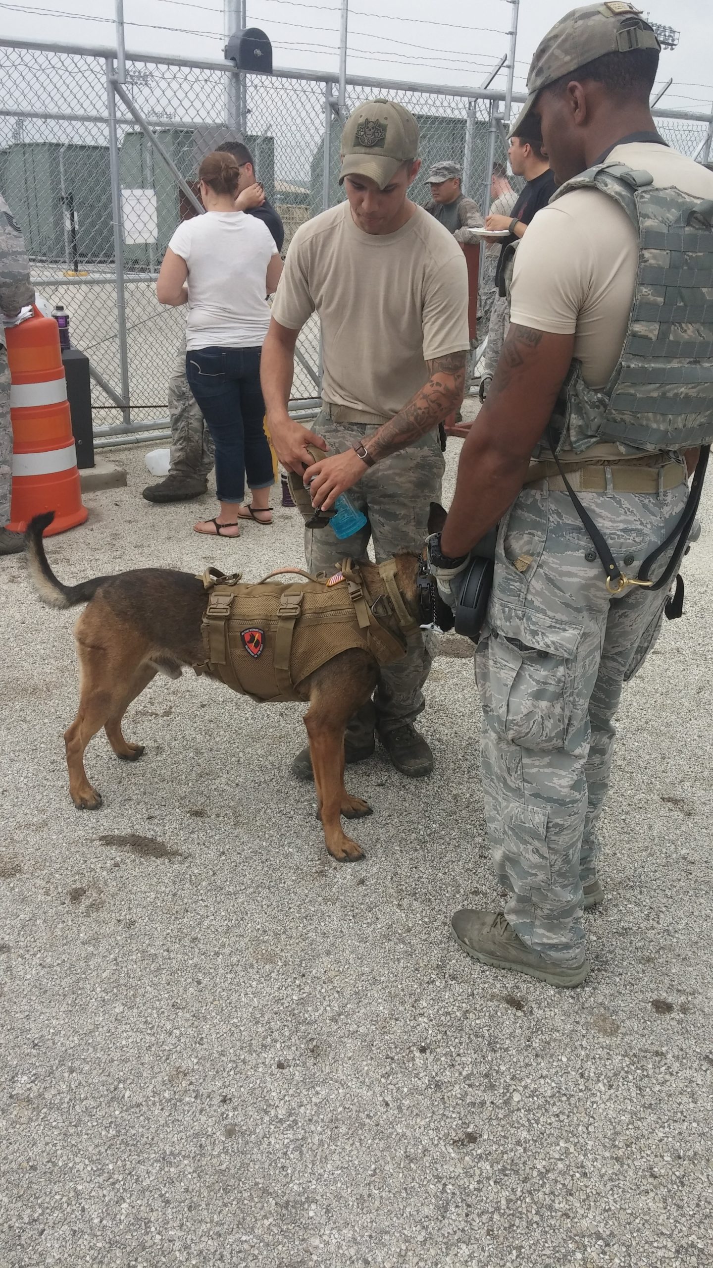 Tactical K-9 Systems (Vest) TK9S - Image 3