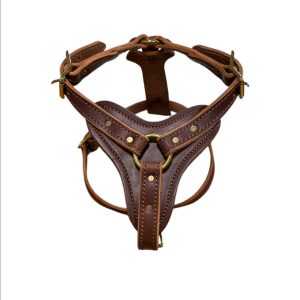 Leather Agitation Harness
