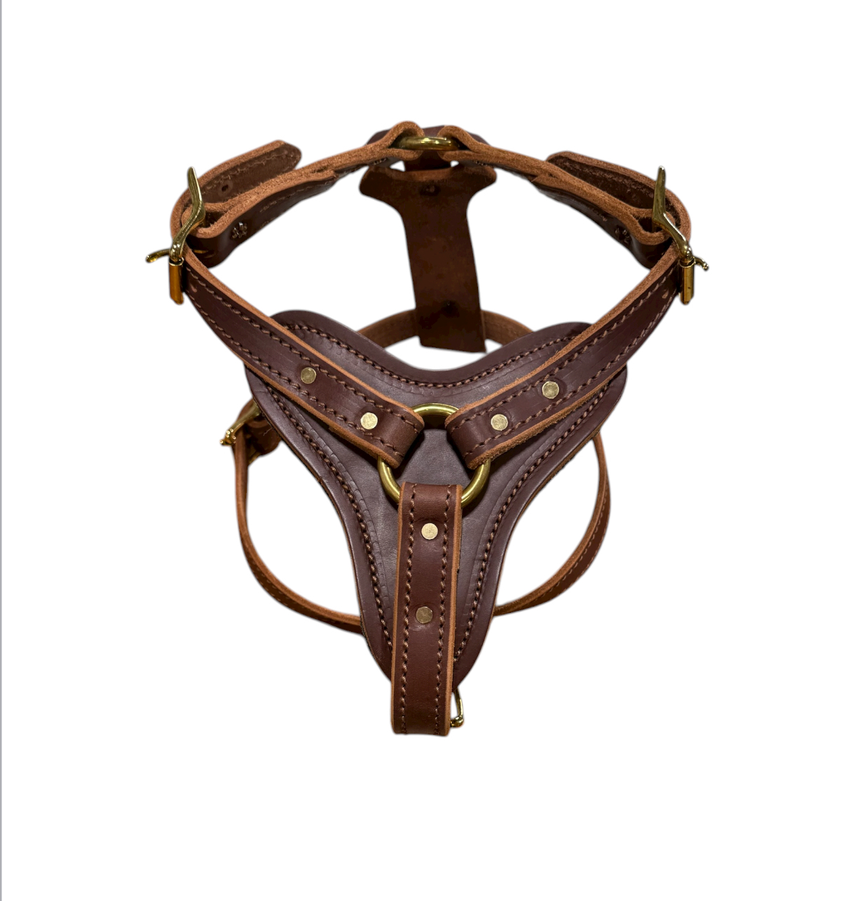 Leather Agitation Harness