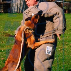 Demanet Training Suit