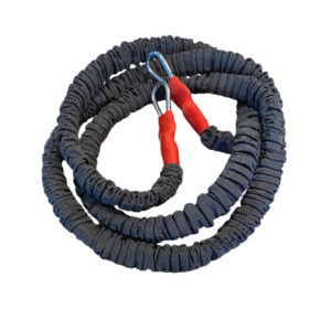 Bungee 12 feet extend to 20 feet approx Lead Tie out.